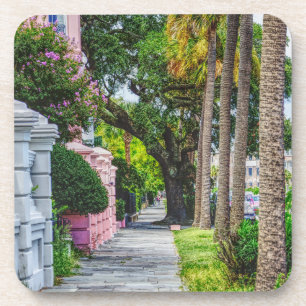 Walk Along Rainbow Row Coaster