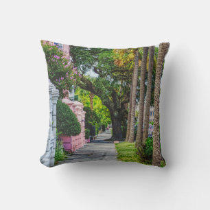 Walk Along Rainbow Row Cushion