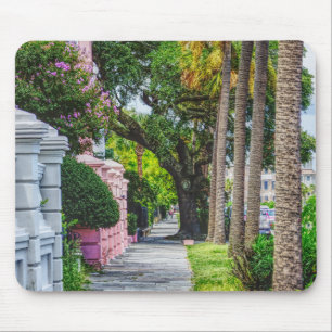 Walk Along Rainbow Row Mouse Mat