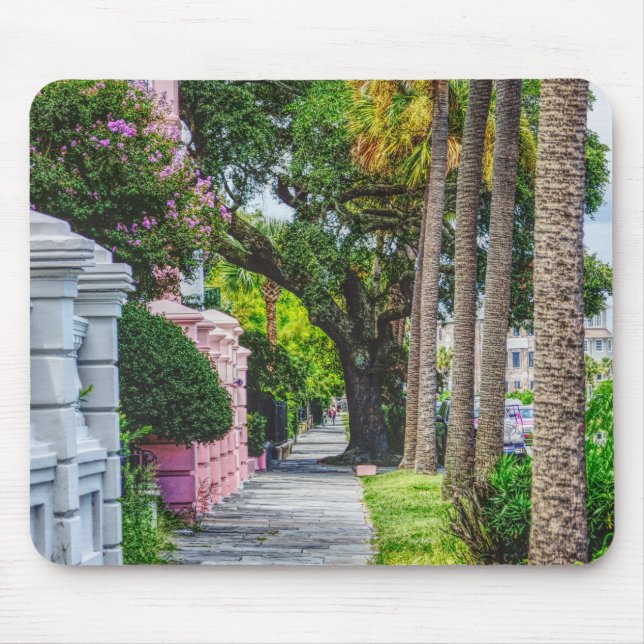 Walk Along Rainbow Row Mouse Mat (Front)