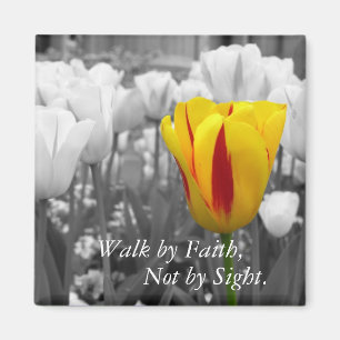 Walk by Faith Magnet