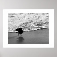 Walk by the Waves California Colour Photography
