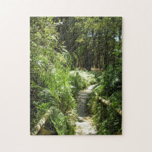 Walk in Doñana National Park, Spain jigsaw puzzle