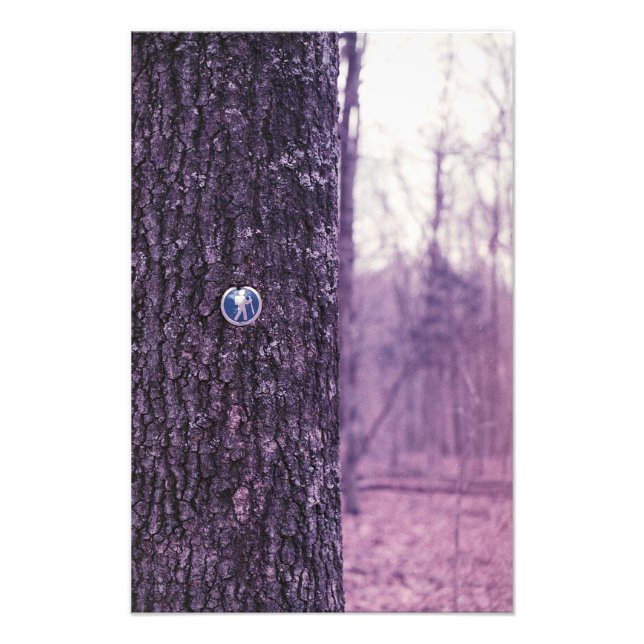 Walk in the Park Photo Print (Front)