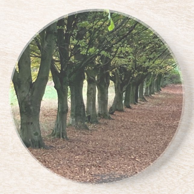 Walk in the woods     coaster (Front)