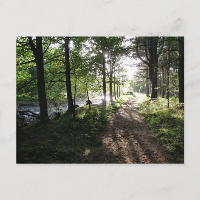 "Walk Near the River" Northumberland Post Card (Front)