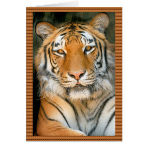 Walk on the Wild Side - Tiger