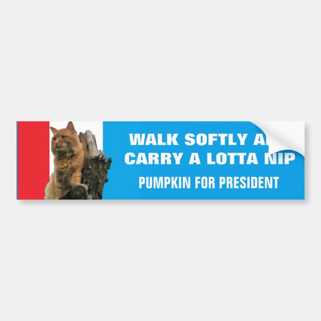 Walk Softly and Carry Nip  Pumpkin for President Bumper Sticker (Front)