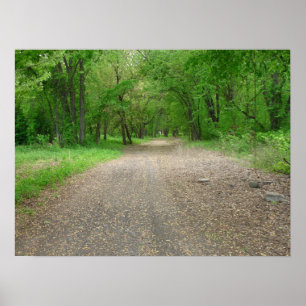 Walk The Path Poster