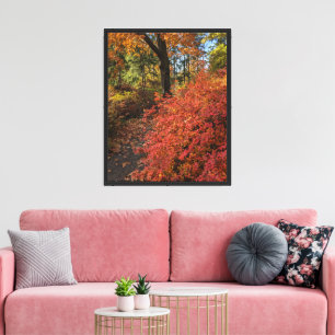 Walk Through an Autumn Color Botanical Garden Canvas Print