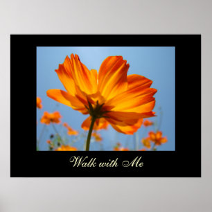 Walk with Me art prints Orange Daisy Flowers