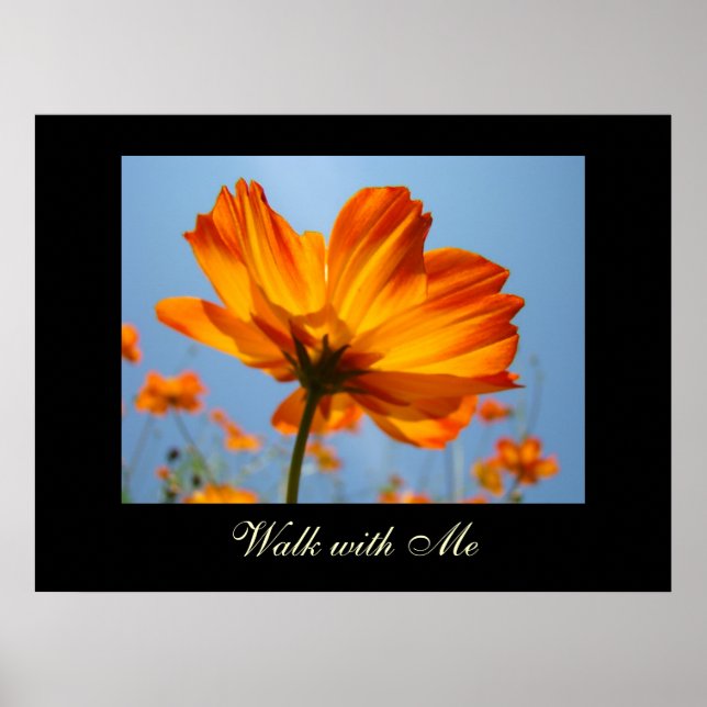 Walk with Me art prints Orange Daisy Flowers (Front)