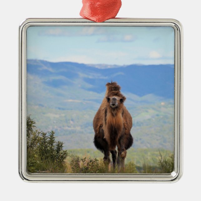 Walk with Muffin Ceramic Ornament (Front)