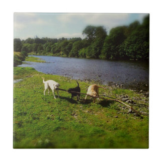 Walkies Tile