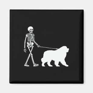 Walking A Newfoundland Dog Halloween Outfit Magnet
