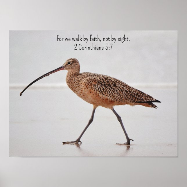 Walking Beach Bird and Bible Verse Art Poster (Front)