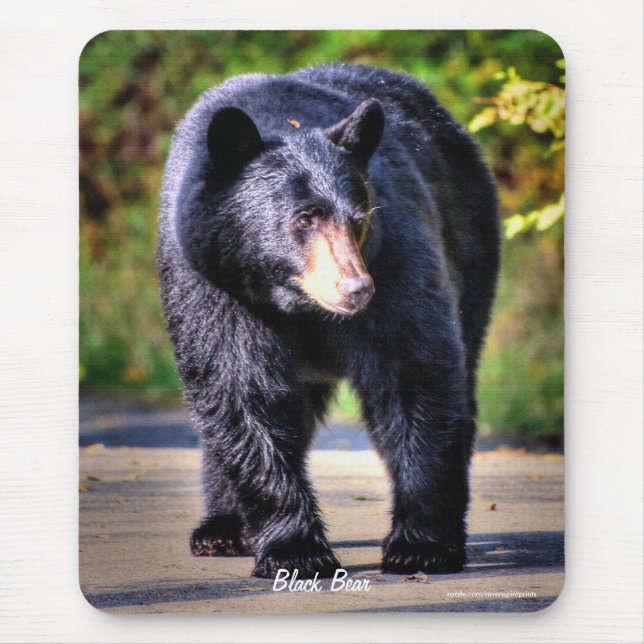 Walking Black Bear Wildlife Image for Animal-lover Mouse Mat (Front)