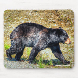 Walking Black Bear Wildlife Photo Art Mouse Mat