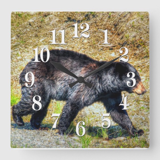 Walking Black Bear Wildlife Photo Art Square Wall Clock (Front)