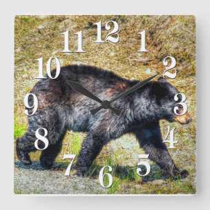 Walking Black Bear Wildlife Photo Art Square Wall Clock