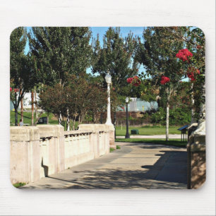 Walking Bridge Around Lake Mirror Mouse Mat