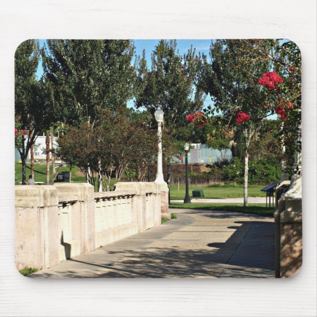 Walking Bridge Around Lake Mirror Mouse Mat (Front)