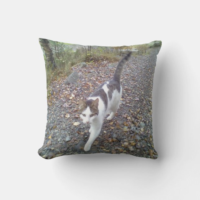 Walking Cat Cushion (Front)
