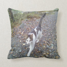 Walking Cat Cushion