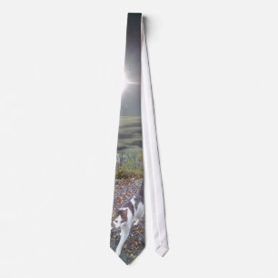 Walking Cat Tie
