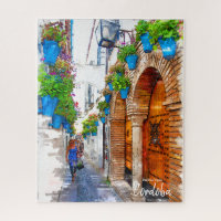 Walking Cordoba's Alley -Spain