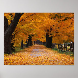 Walking Down Autumn's Memory Lane Poster