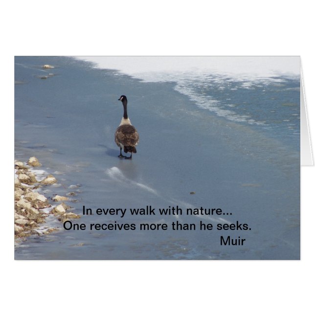 Walking Geese:Muir (Front Horizontal)