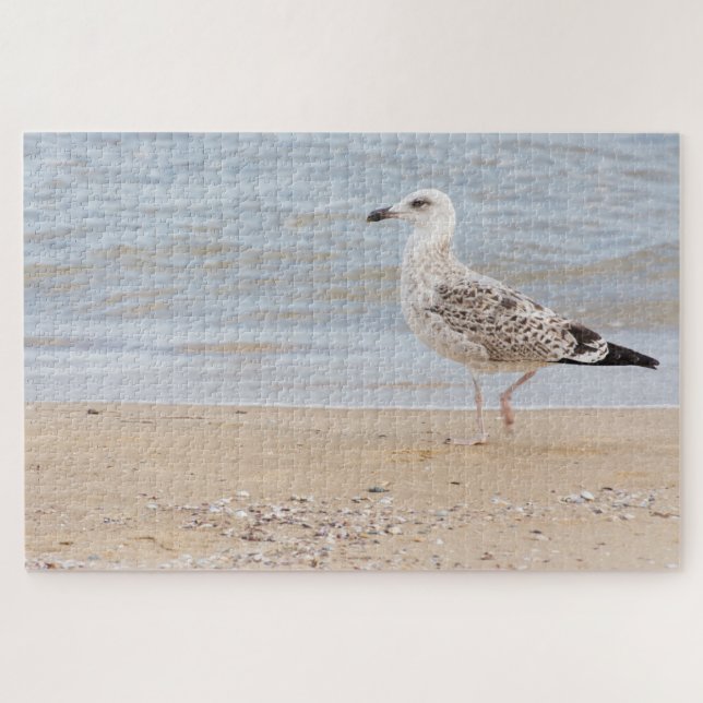 Walking gull jigsaw puzzle (Horizontal)
