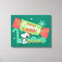 Walking In A Winter Candy Land!