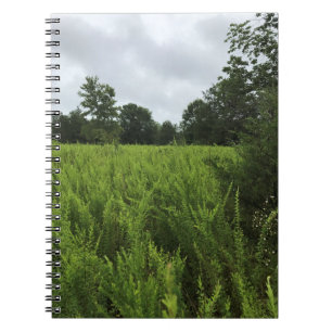 Walking in the Forest, Chester, South Carolina Can Notebook