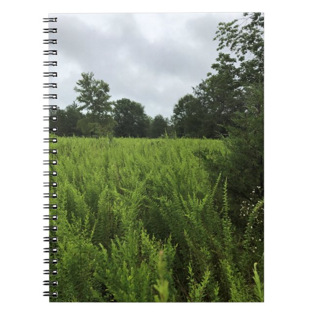 Walking in the Forest, Chester, South Carolina Can Notebook (Front)