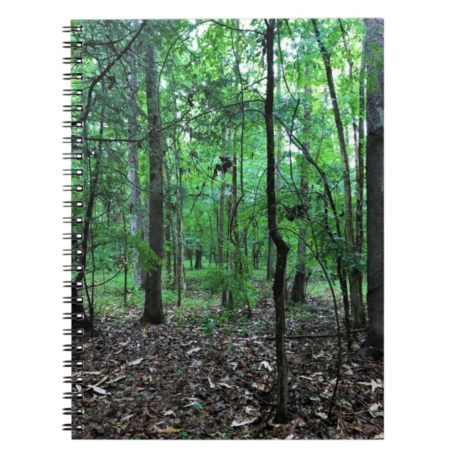 Walking in the Forest, Chester, South Carolina Can Notebook (Front)