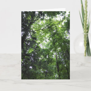 Walking in the Forest, Chester, South Carolina Card