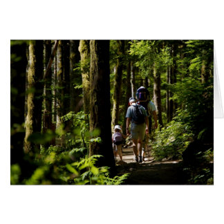 Walking in the woods