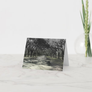 Walking in Wormsloe Card