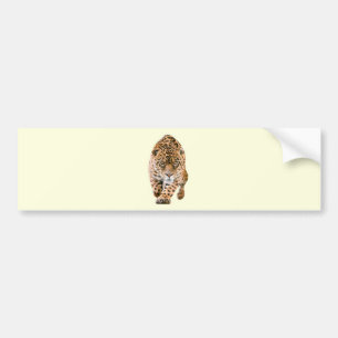 Walking Jaguar Eyes Bumper Sticker