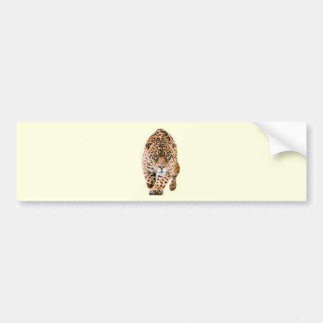 Walking Jaguar Eyes Bumper Sticker (Front)