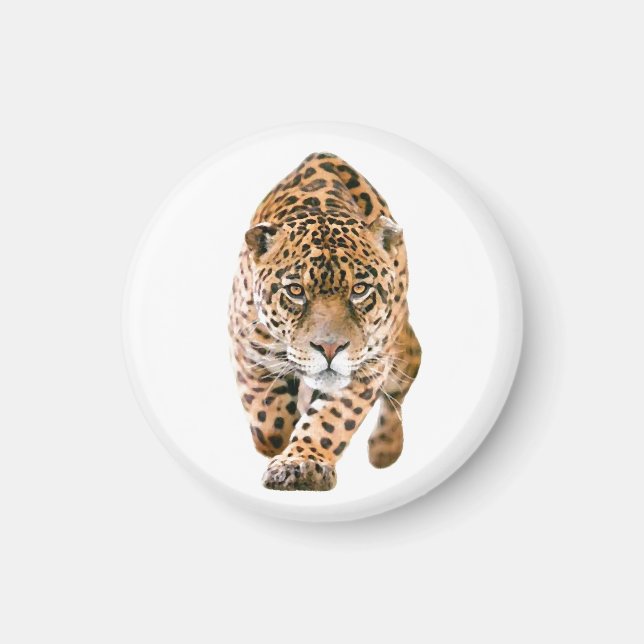 Walking Jaguar Eyes Magnet (Front)