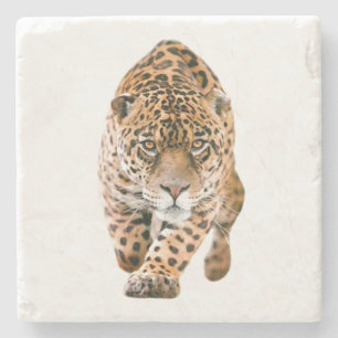 Walking Jaguar Eyes Stone Coaster