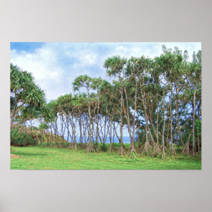 Walking Palm Trees in Hawaii Poster
