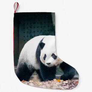 WALKING PANDA FRONT OF CONCRETE BUILDING SMALL CHRISTMAS STOCKING