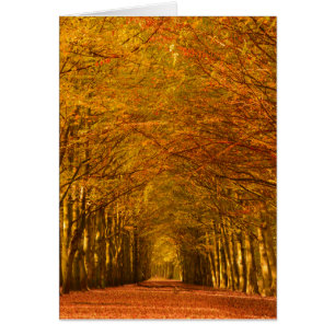 Walking path in forest in autumn vertical card