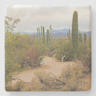 Walking Path in the Desert in Arizona, sq coaster