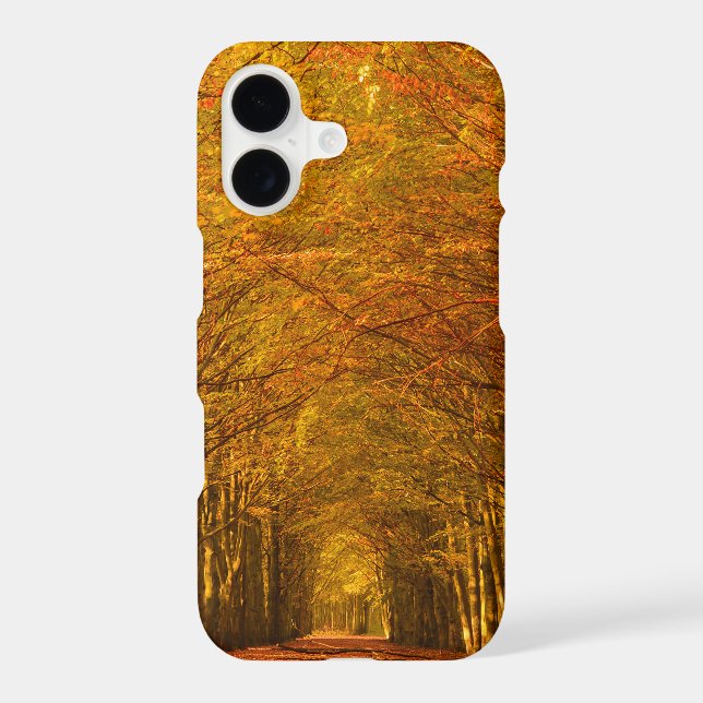 Walking path through the forest in autumn (Back)