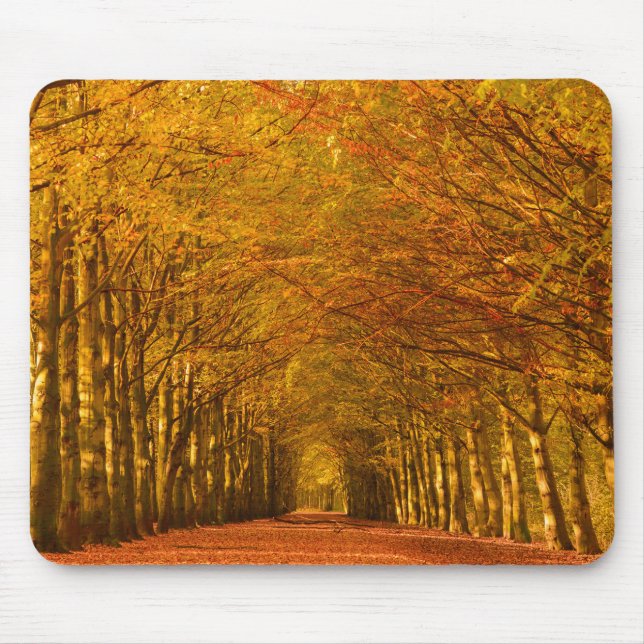 Walking path through the forest in autumn mousepad (Front)